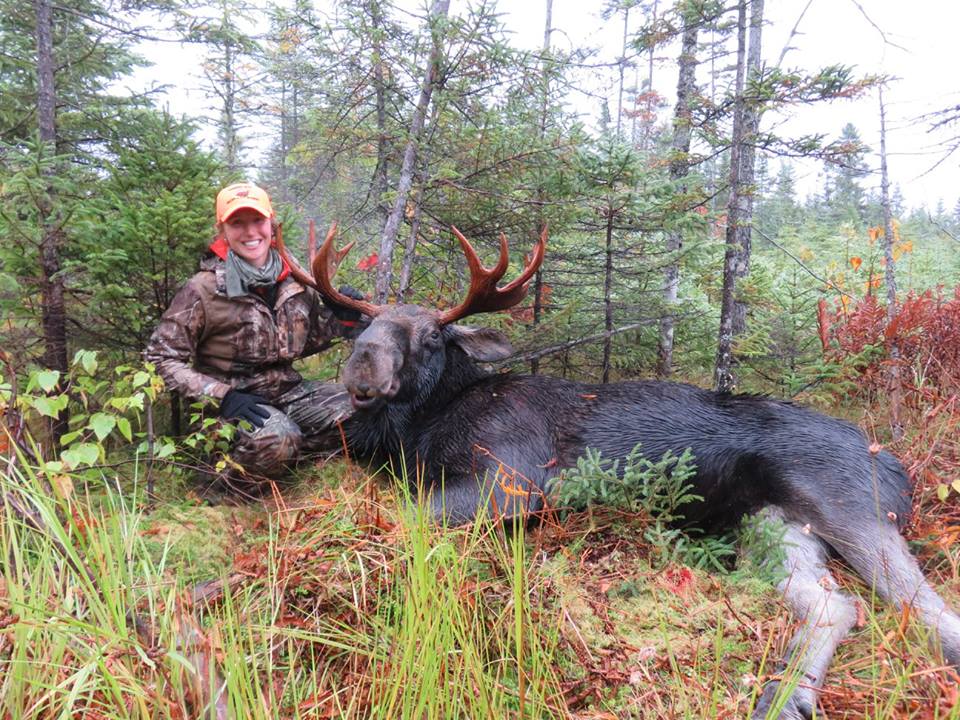 Moose Hunting Lessons to Be Learned Northwoods Sporting Journal